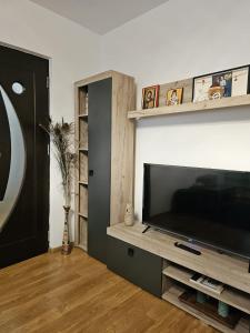 Una sala de estar con un televisor de pantalla plana grande. en Mony Apartaments, en Roman 19 fotos más