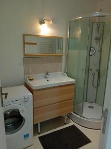 a bathroom with a sink and a shower and a washing machine at Petite maison avec jardin in Montcaret