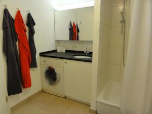 テュービンゲンにあるZentrales 2-Zimmer Apartmentのバスルーム(シンク、洗濯機付)
