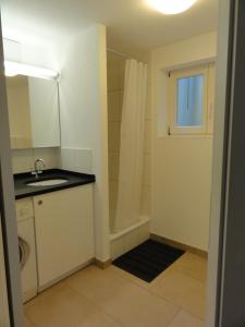 a small bathroom with a shower and a sink at Zentrales 2-Zimmer Apartment in Tübingen