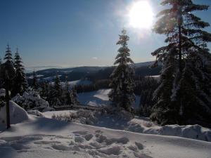 Foto dalla galleria di Holiday Home Tone a Frajhajm