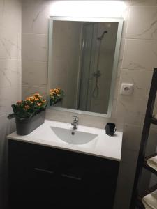 bagno con lavandino, specchio e fiori di Matosinhos House Surf & Beach a Matosinhos Altre 8 foto