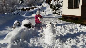 Foto dalla galleria di Holiday Home Tone a Frajhajm Altre 28 foto