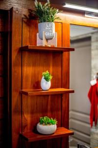 Φωτογραφία από το άλμπουμ του Grand Bungalow Viguier - Rivière Salée σε Rivière-Salée