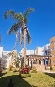 eine Katze, die unter einer Palme vor einem Gebäude sitzt in der Unterkunft departamento en yecapixtla in Tecolote + 14 Fotos