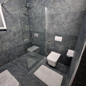 a bathroom with a toilet and a glass shower at Vila Zeni Zoto, Private Room featuring panoramic views from Terrace and Balcony in Çorovodë