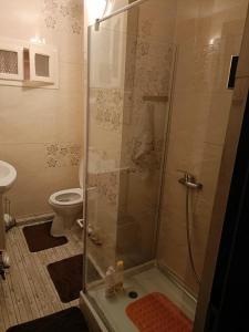 a bathroom with a shower and a toilet at Apartament Manu 2 dormitoare in Târgu Neamț +26 photos