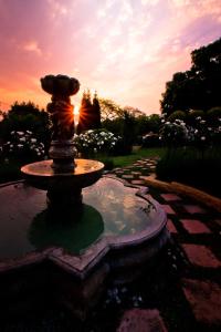 Fotografie z fotogalerie ubytování Little Tuscany Boutique Hotel v destinaci Johannesburg