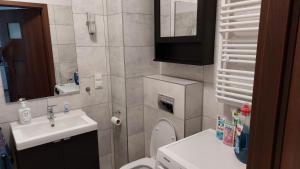 a small bathroom with a sink and a toilet at Nocleg u Kasi nad Morzem Trójmiasto in Kowale +12 photos