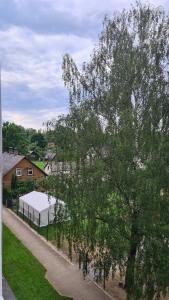 a tree with a white tent in a yard at Entire apartment in Valmiera, Latvia in Valmiera