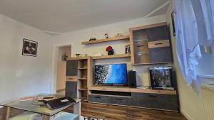 a living room with a tv on a entertainment center at Miuti Residence in Triberg