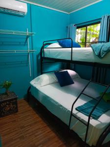 een slaapkamer met 2 stapelbedden en een blauwe muur bij Villa Angelo Puerto Viejo in Puerto Viejo