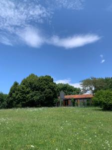 a house on a hill with a field and trees at VILLA TUGURIO. La tua casa immersa nel verde in Grumolo Pedemonte
