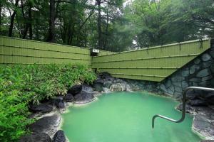 Vista sulla piscina di Nikko Astraea Hotel o su una piscina nei dintorni