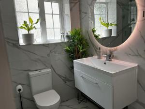 a bathroom with a toilet and a sink and a mirror at Carden Villa 4 Bedroom House With Hot Tub Pet Friendly in Brighton & Hove +3 photos