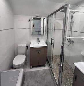 une salle de bains avec toilettes, lavabo et douche dans l'établissement L'appart B42, à Gruissan