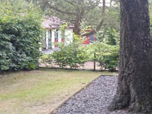Zahrada ubytování Ferienhaus uelsen