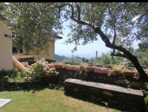 Foto dalla galleria di Il Giardino Di Maria a Montignoso