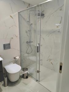 eine Duschkabine im Bad mit WC in der Unterkunft Loreto House in Bragança + 8 Fotos