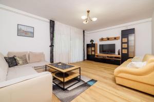 TV a/nebo společenská místnost v ubytování Apartments Iva