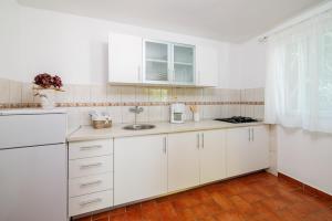 Kuchyň nebo kuchyňský kout v ubytování Apartments Iva