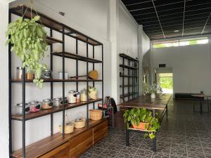 Fotografie z fotogalerie ubytování Asha Hostel v destinaci Fortuna