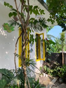a white house with yellow windows and a tree at Banana Homestay in Banyuwangi