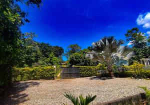 a yard with a fence and a palm tree at Finca Turística Peñoles - Cerca de Charcos y Cascadas - Finca Rústica en San Carlos, Antioquia in San Carlos
