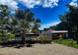 a palm tree in front of a house at Finca Turística Peñoles - Cerca de Charcos y Cascadas - Finca Rústica en San Carlos, Antioquia in San Carlos +6 photos