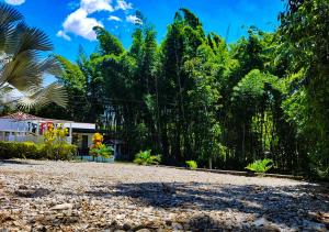 a fence in front of a house with trees at Finca Turística Peñoles - Cerca de Charcos y Cascadas - Finca Rústica en San Carlos, Antioquia in San Carlos