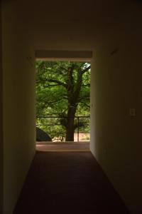 Fotografija u galeriji objekta Travellers Crib u gradu Auroville