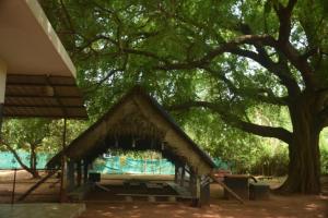 Fotografija u galeriji objekta Travellers Crib u gradu Auroville