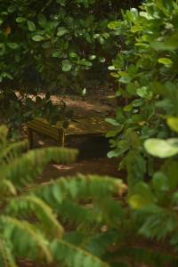 Fotografija u galeriji objekta Travellers Crib u gradu Auroville
