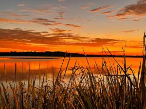 Billede fra billedgalleriet på Minti Beach House i Maroochydore
