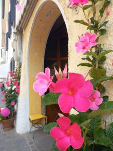 a bunch of pink flowers in front of a building at Albergo Giulia Gonzaga in Sabbioneta