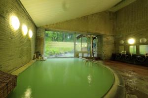 - une grande piscine d'eau verte dans la chambre dans l'établissement Nikko Astraea Hotel, à Nikkō