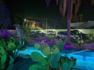 een cactusperceel met auto's die 's nachts op een parkeerplaats geparkeerd staan bij Villa del Marinaio in Mazara del Vallo