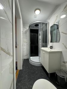 a bathroom with a shower and a sink and a toilet at Kopa Cabana in Palanga +9 photos