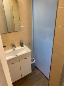 Koupelna v ubytování Apartment Roby