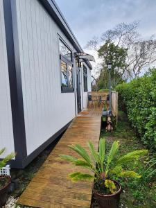 Cozy self contained Tiny Home外面的花园
