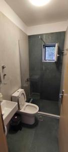 a bathroom with a toilet and a shower and a sink at Αλκυονη Διαμερισματα in Paralia Vrachou +33 photos