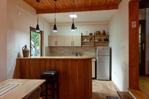 a kitchen with a counter and a refrigerator at Bitrak House Megdani in Ohrid