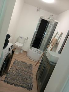 a bathroom with a sink and a mirror and a toilet at Stone Vendégház Tisza-tó in Poroszló