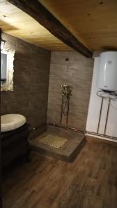 a bathroom with a shower and a sink in a room at Casa Weiss-Cetățele in Şurdeşti