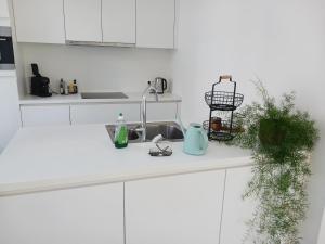 a kitchen counter with a sink and a plant at Suite Betsy met direct zeezicht in Ostend