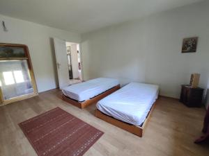 GrignolsにあるMaison de campagne sur 2 hectaresのベッドルーム1室(ベッド2台、鏡、ラグ付)