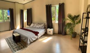 a bedroom with a bed and a plant in it at TLT Guesthouses - Dauin in Dauin +70 photos