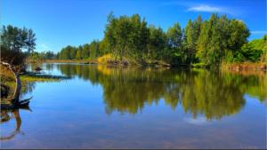a river with trees reflecting in the water at Self contained guest house in Kurmond