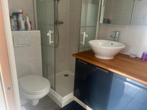 a bathroom with a shower and a toilet and a sink at Ty Bihan in Quiberon +8 photos
