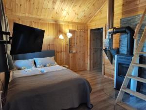 a bedroom with a bed with a ladder and a fireplace at Ferienwohnung Erlebnisfarm John in Sayda